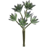 Sedum Stem - Green