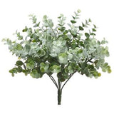 Eucalyptus Bush - Frosted Green