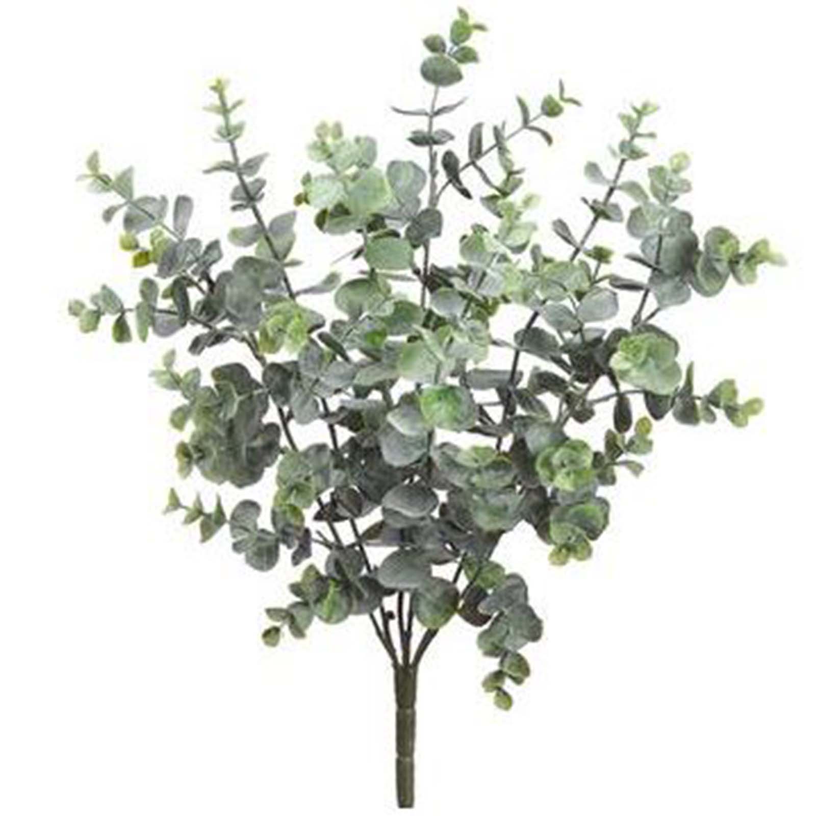 Eucalyptus Bush - Green