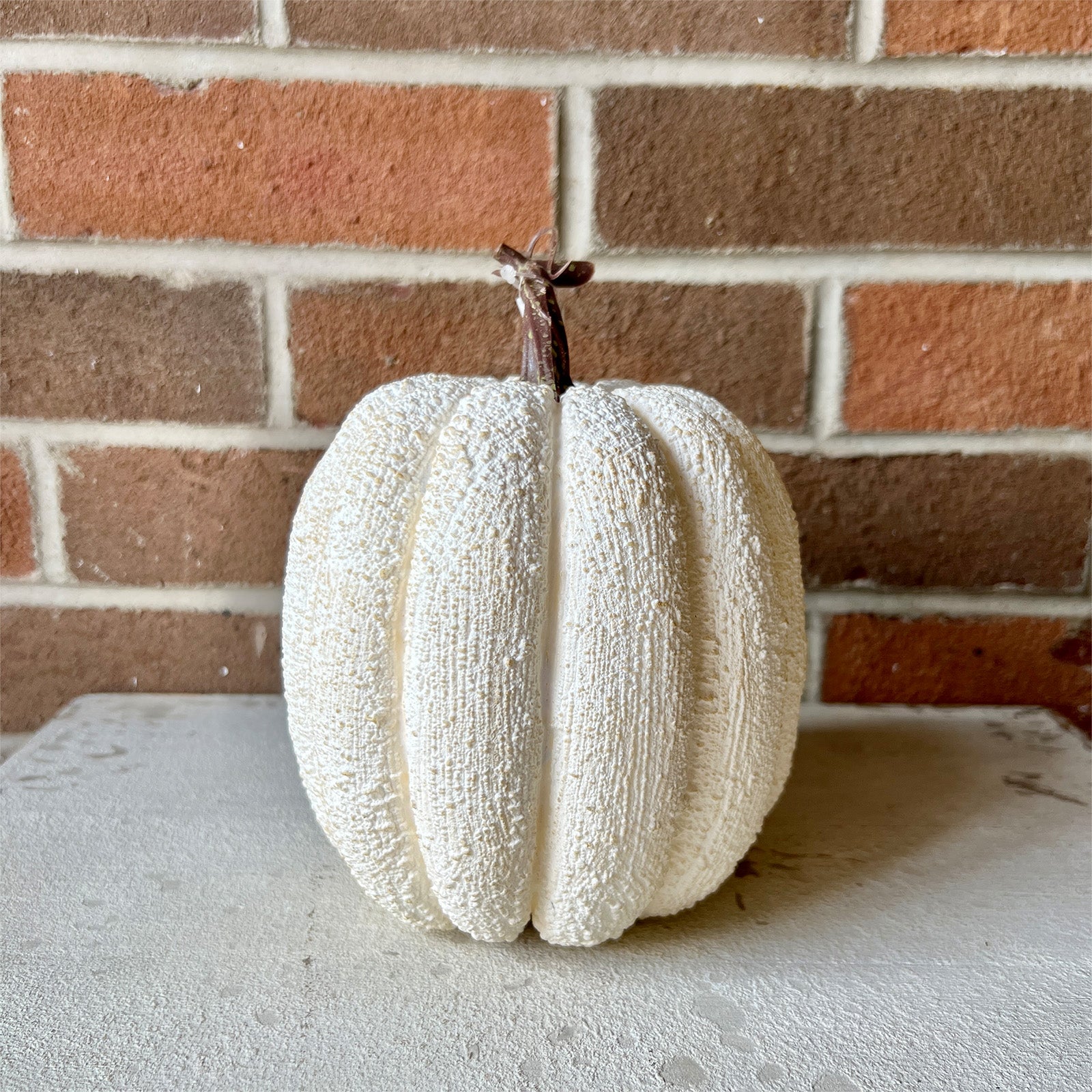 White Pumpkin - Large
