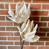 White/Cream Flower