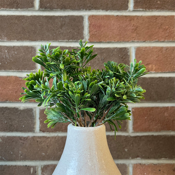 Succulent Grass Bush
