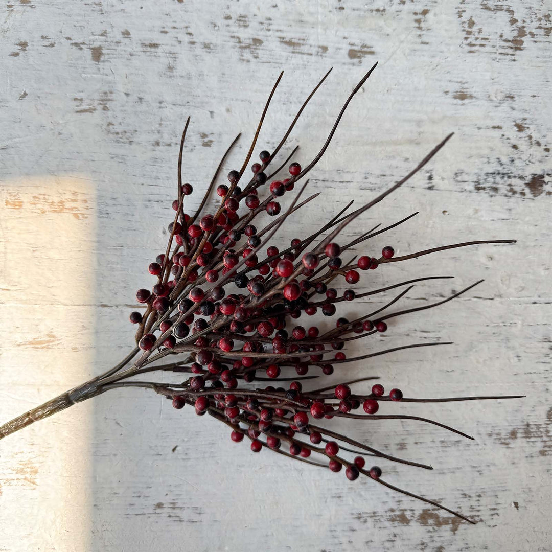 Berry Bush - Red