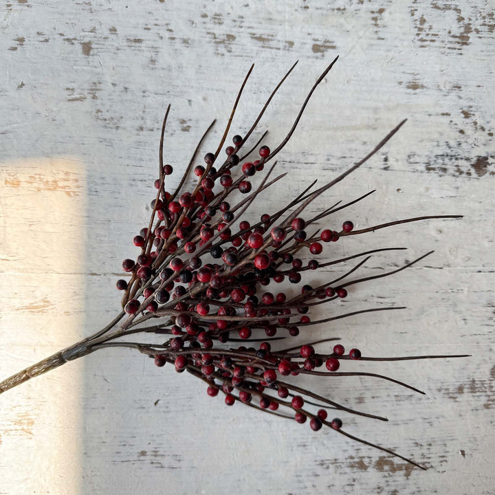 Berry Bush - Red