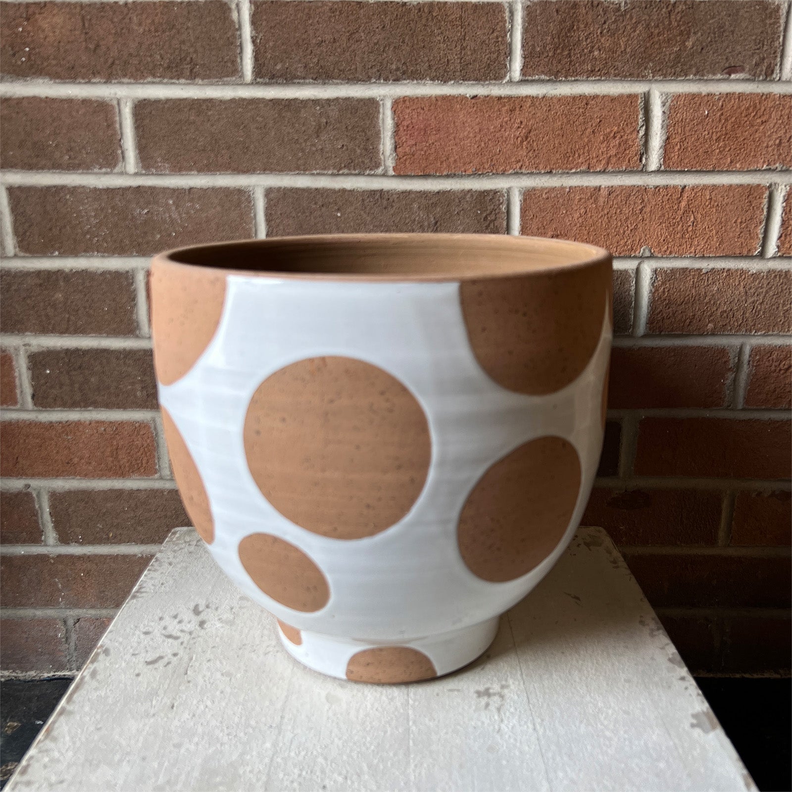 Terracotta Planter w/ Dots