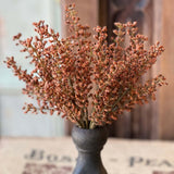 Astilbe Brush - Pumpkin