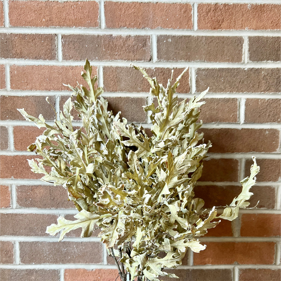 Oak Leaf Pick - Green