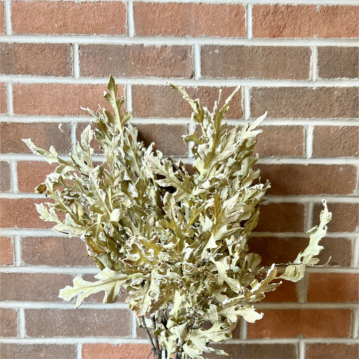 Oak Leaf Pick - Green