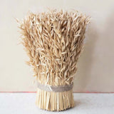 Dried Harvest Grass