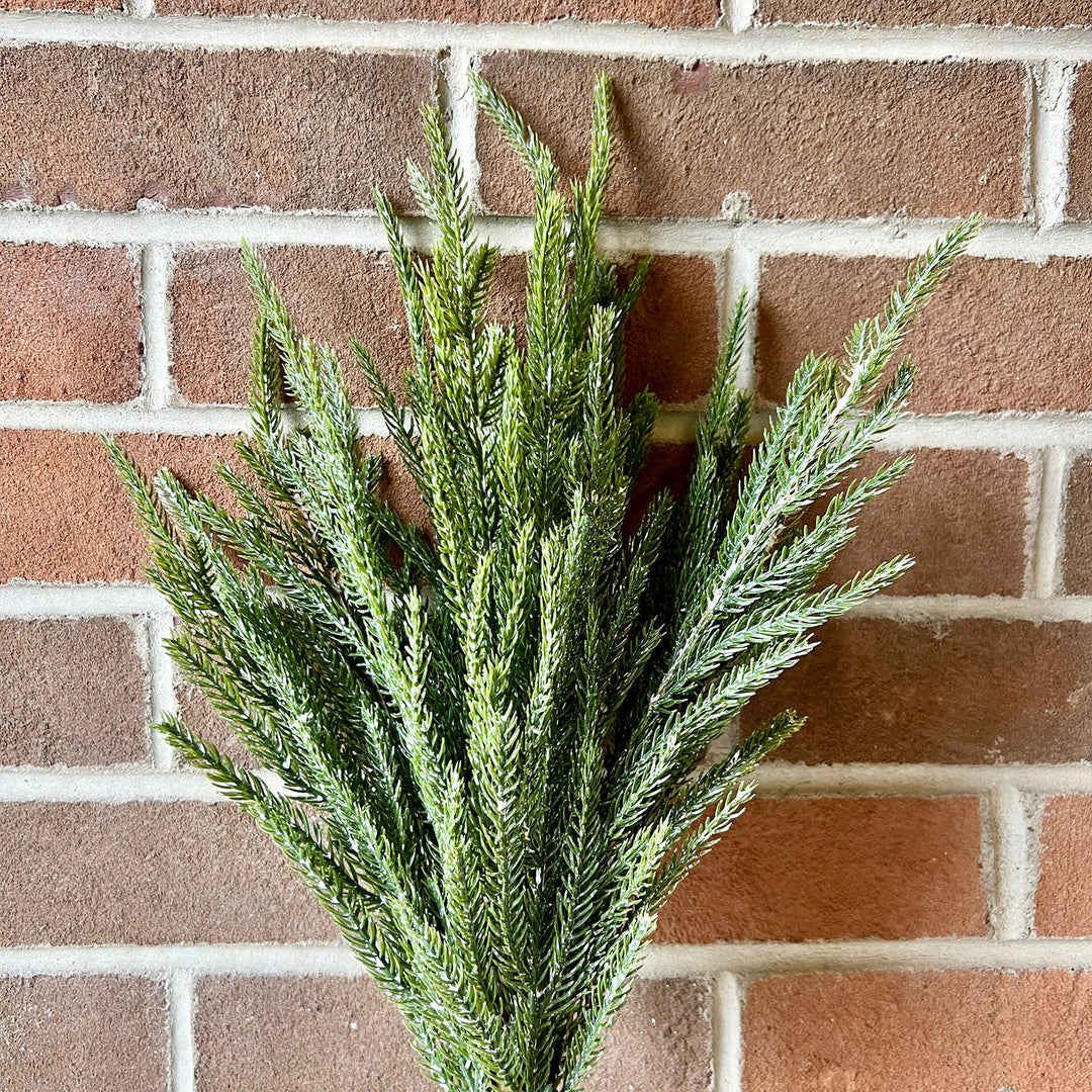 Cypress Spray - Green/Gray