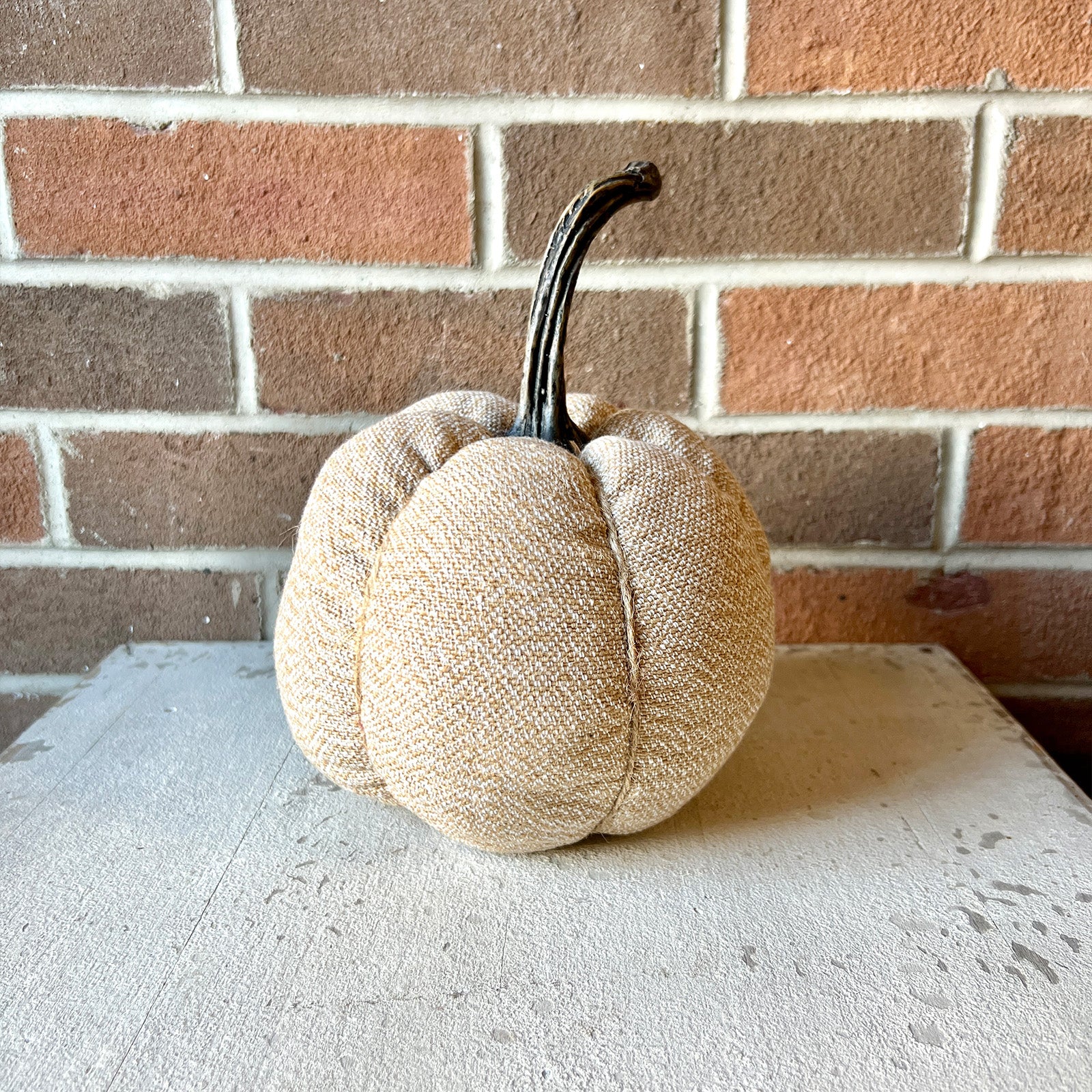 Orange Pumpkin