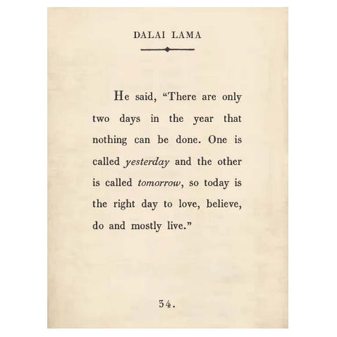 Dalai Lama Art Poster