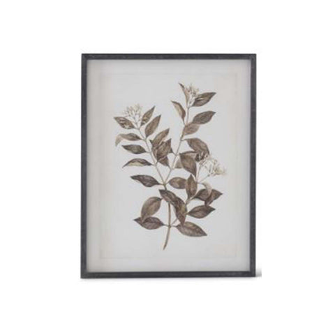 Botanical Print I
