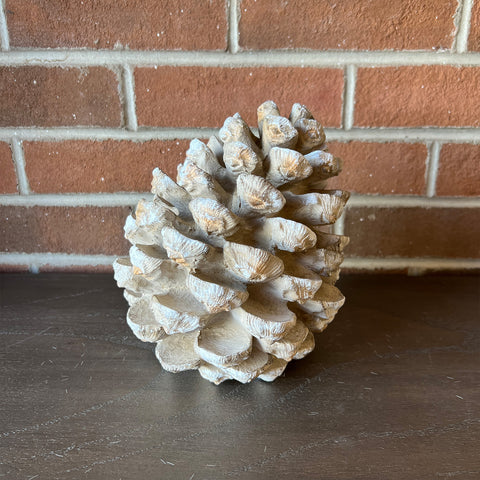 Grey Pinecone