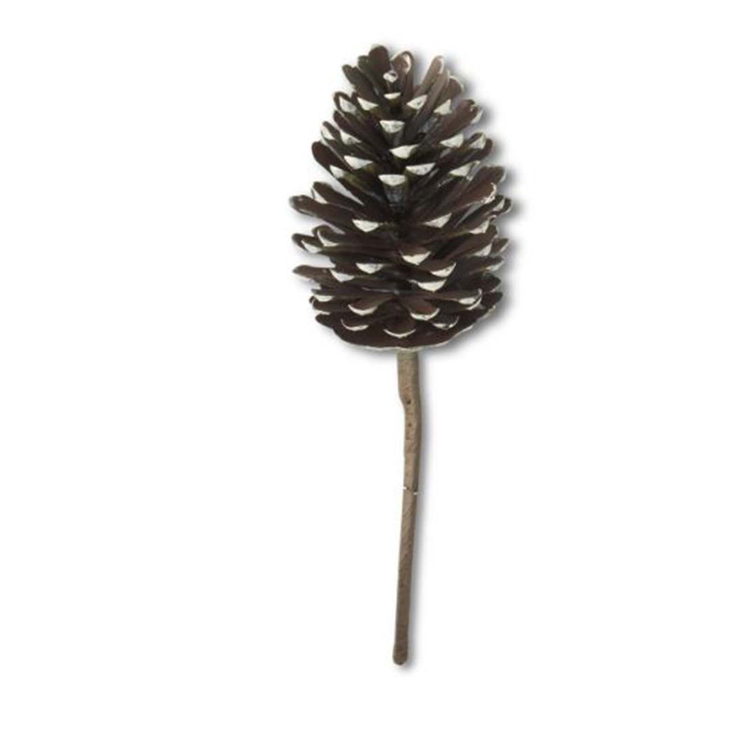 Pinecone Pick