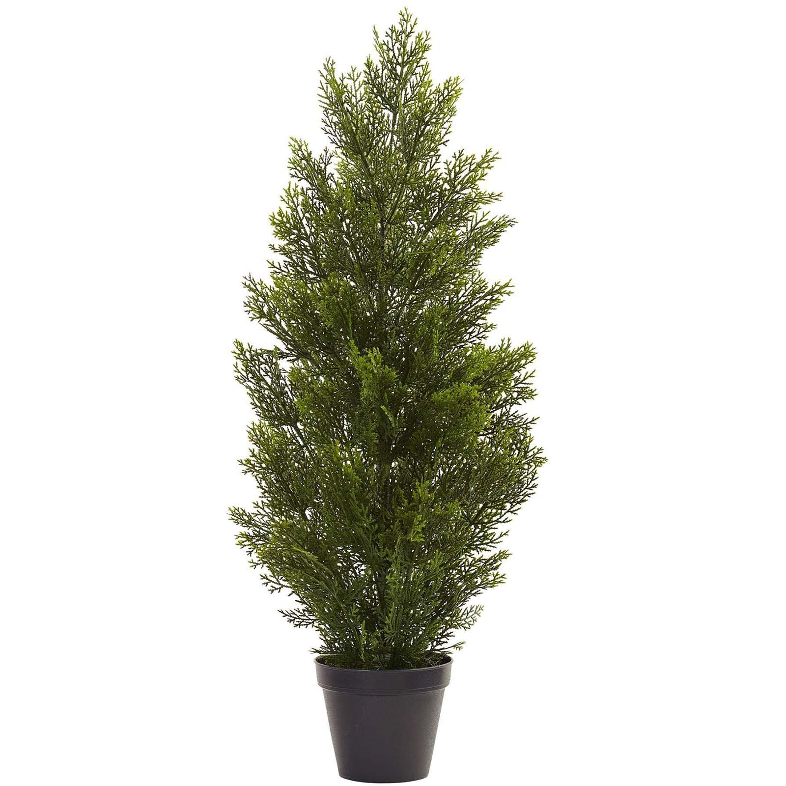 3' Cedar Pine Tree
