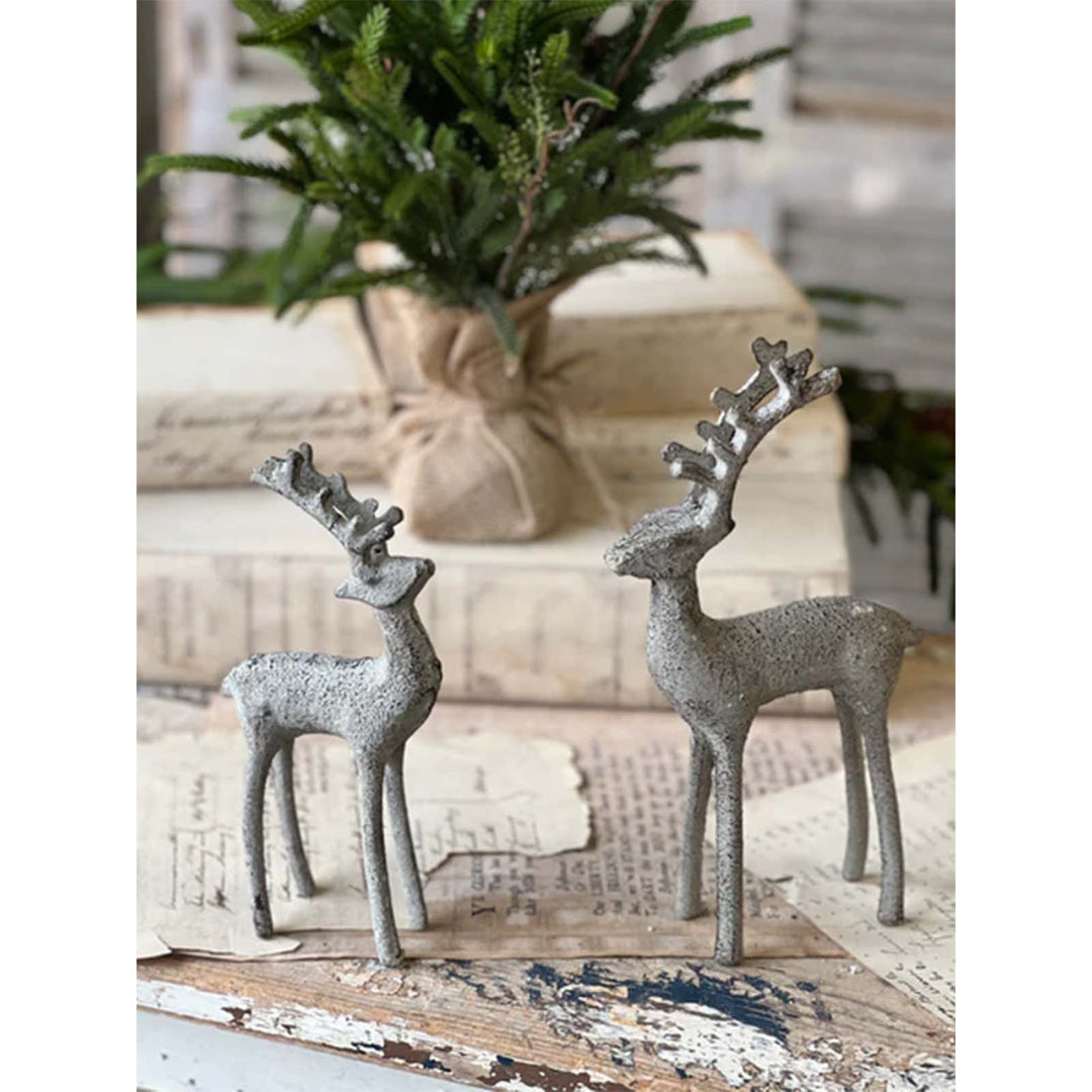 Stately Stag