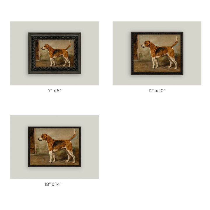 Fox Hound