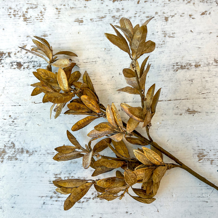 Antique Gold Leaf Spray