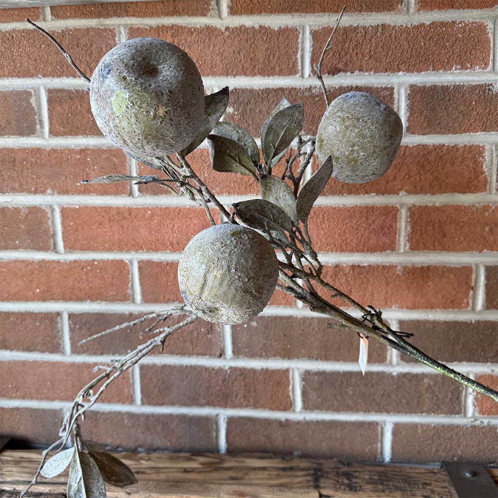 Crab Apple Stem