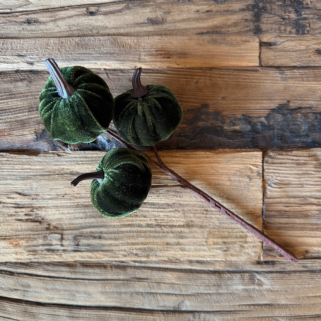 11" Velvet Pumpkin -  Green