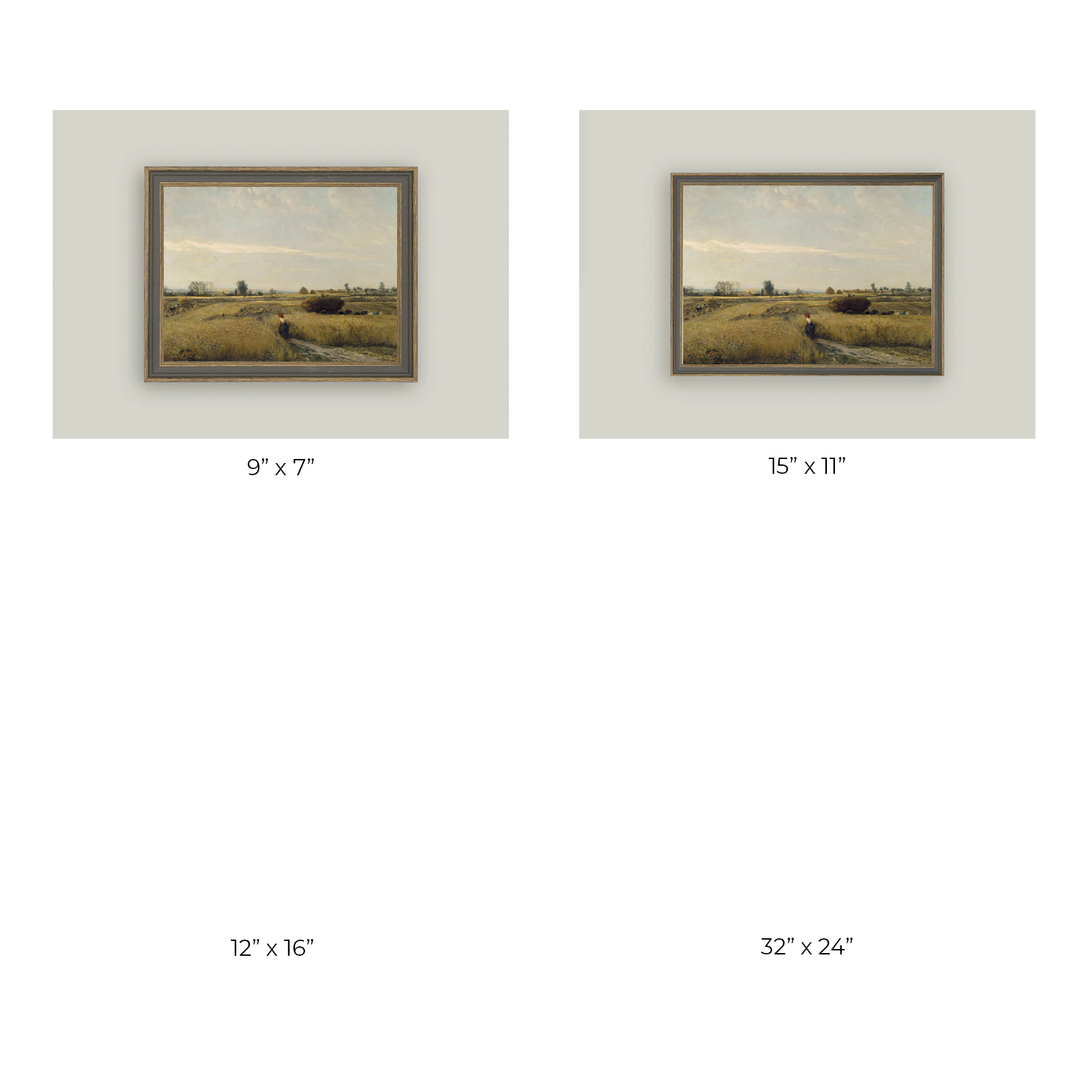 Harvest Landscape