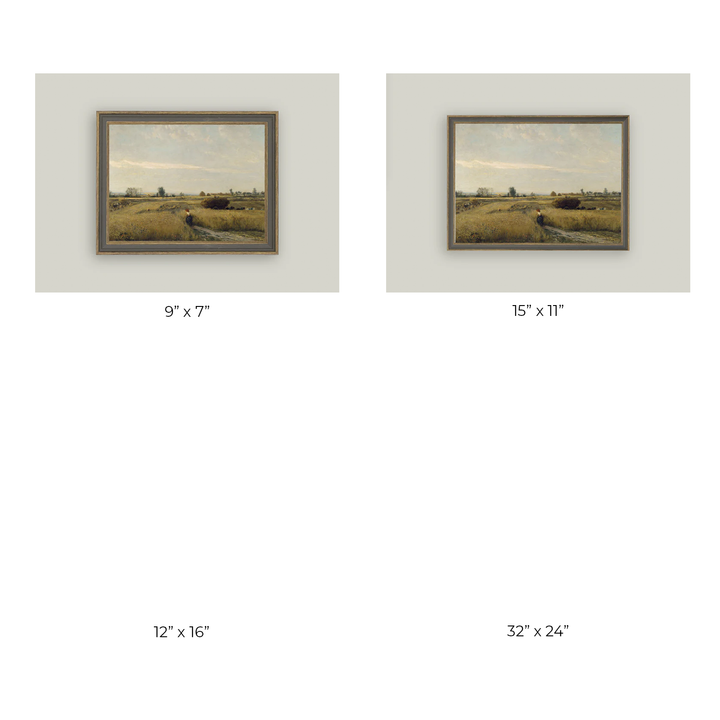 Harvest Landscape
