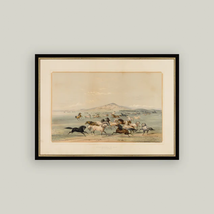 Field of Horses