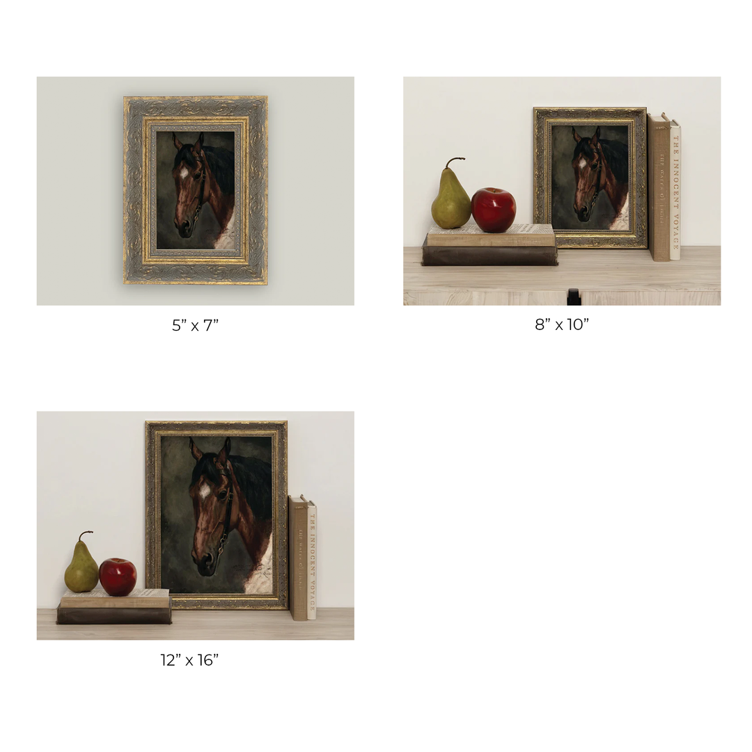 Horse Portrait