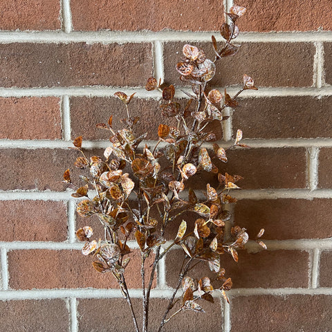 Brown Washed Eucalyptus Stem