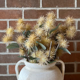 Cream Thistle Stem