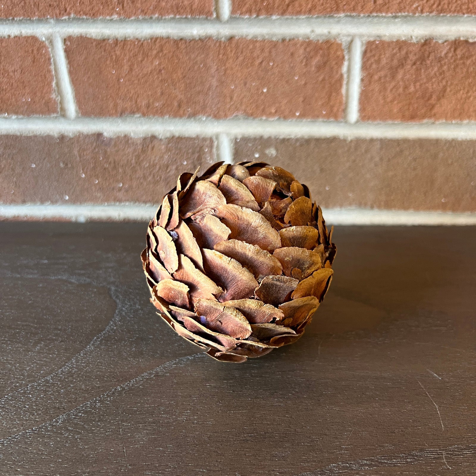 Wide Pinecone Orb