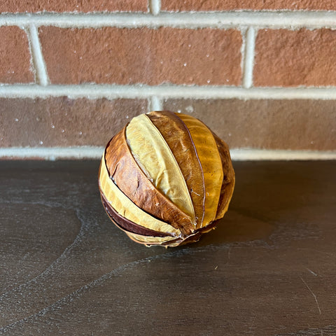 Seed Pod Orb