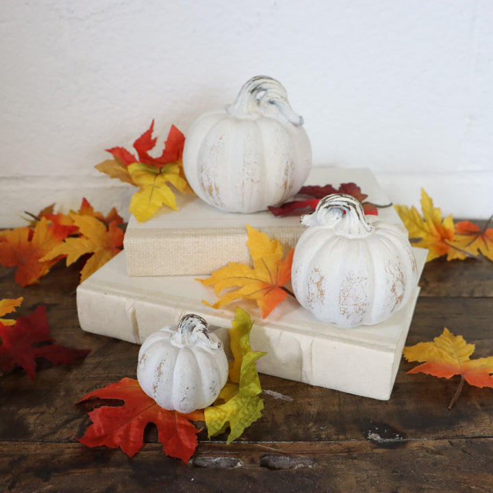 White Pumpkin