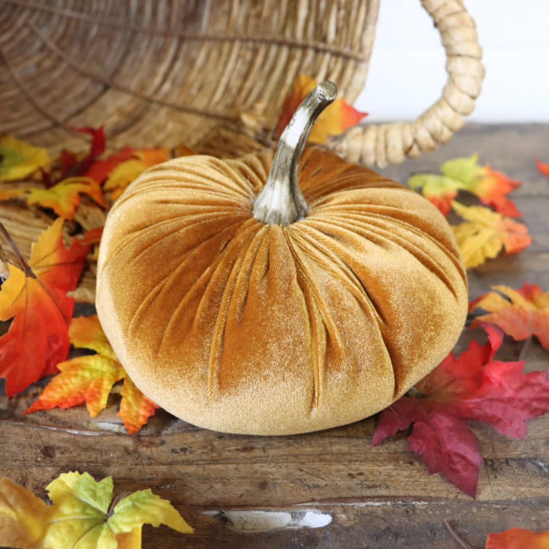7.5" Velvet Pumpkin