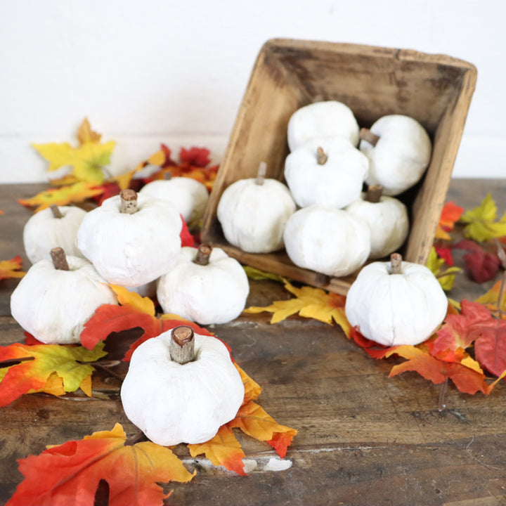 Bag of Dried Pumpkins
