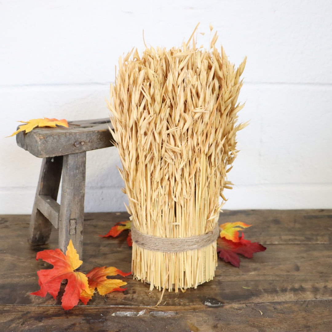 Dried Harvest Grass