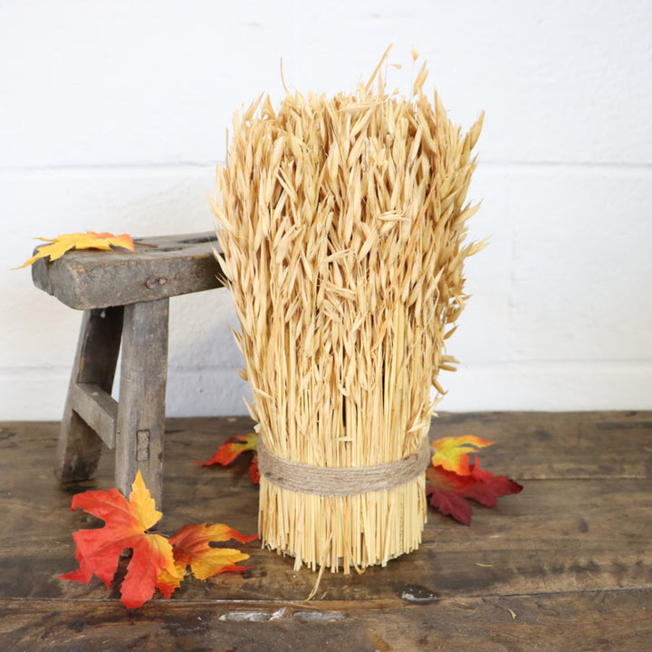 Dried Harvest Grass