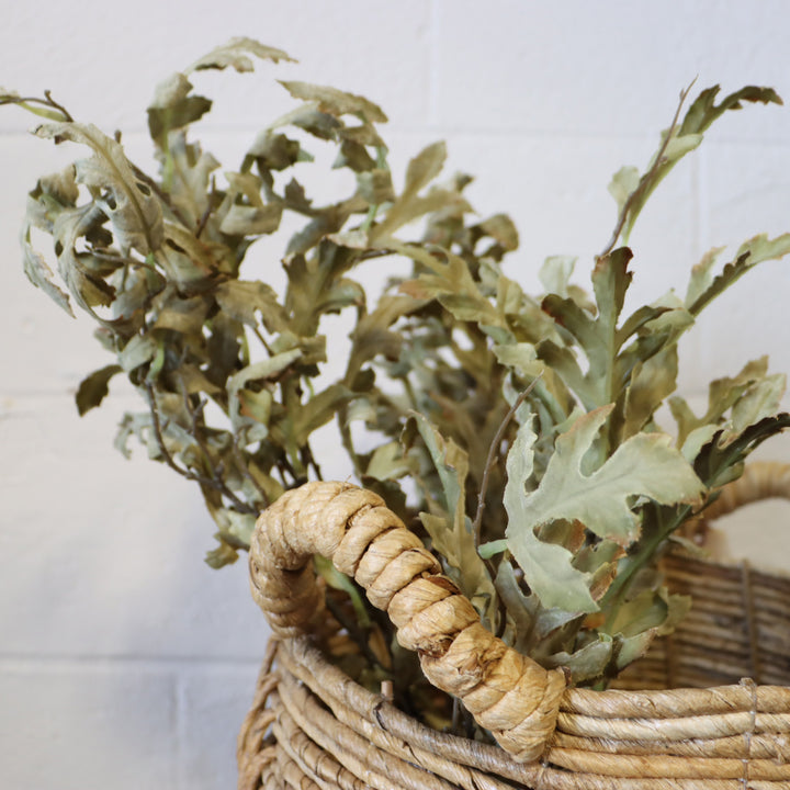 Oak Leaf Pick - Green