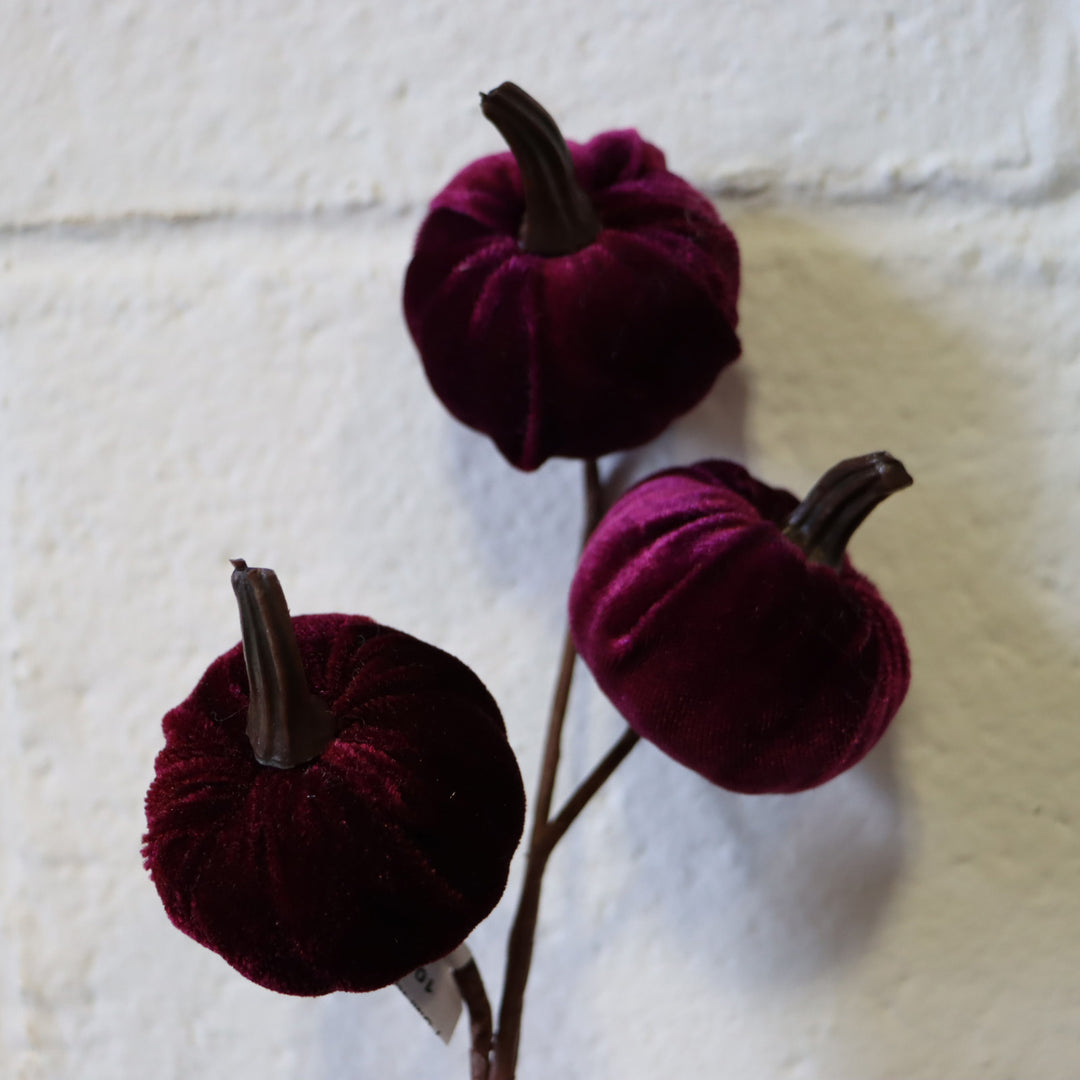 11" Velvet Pumpkin -  Plum