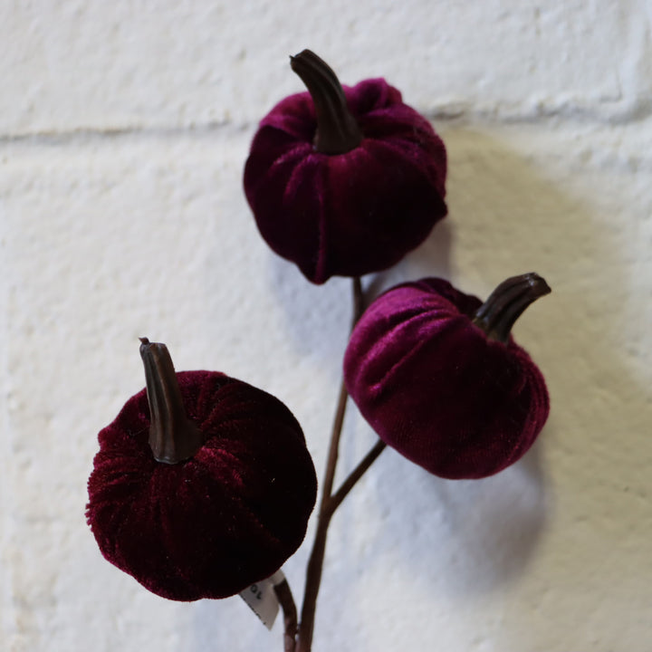 11" Velvet Pumpkin -  Plum
