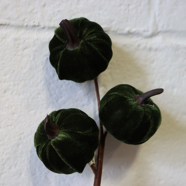 11" Velvet Pumpkin -  Green