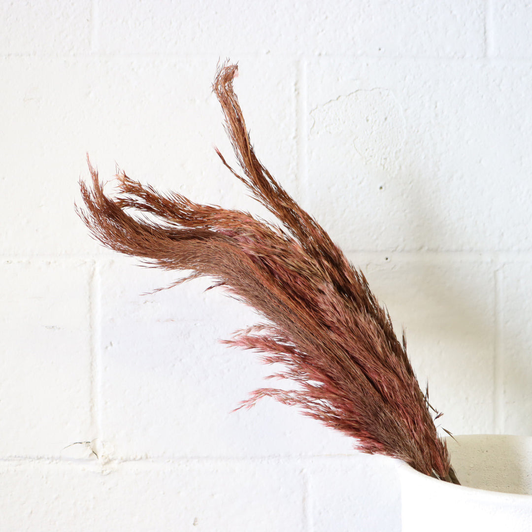28" Pampas Grass - Brown