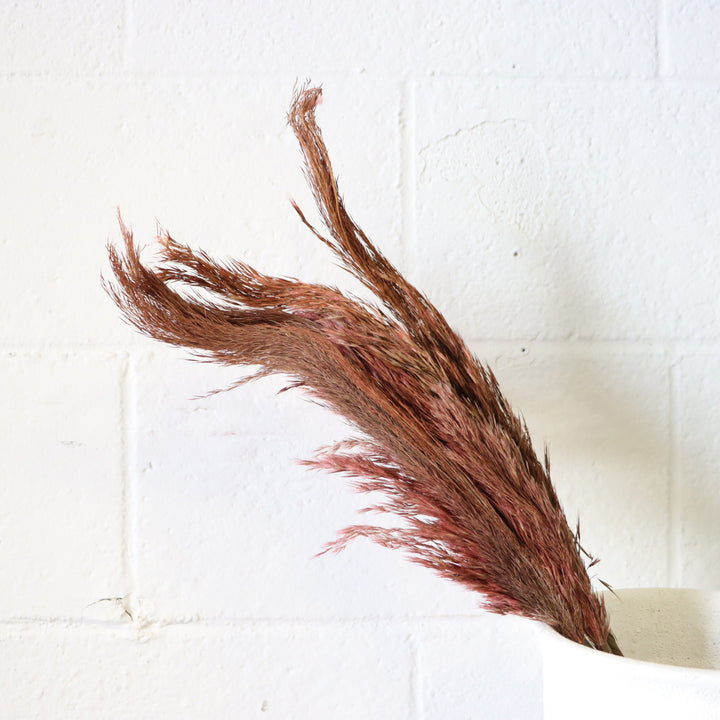 28" Pampas Grass - Brown