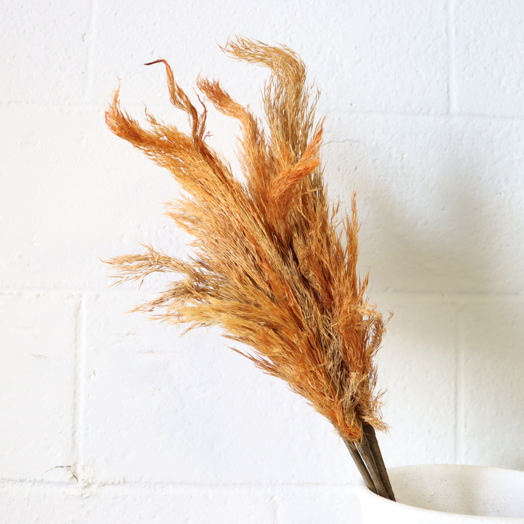28" Pampas Grass - Orange