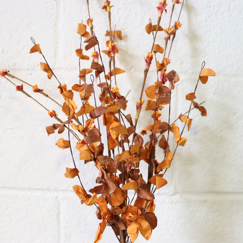 Spice Blooms