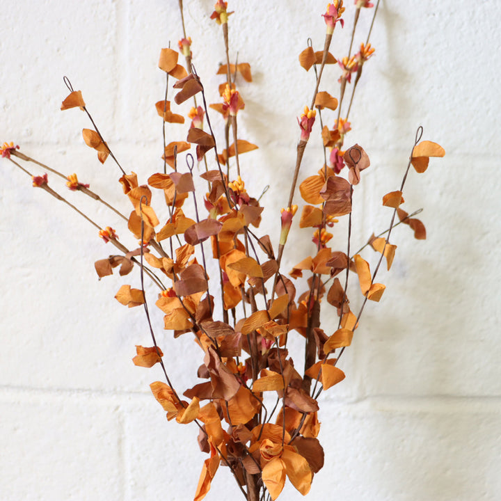 Spice Blooms
