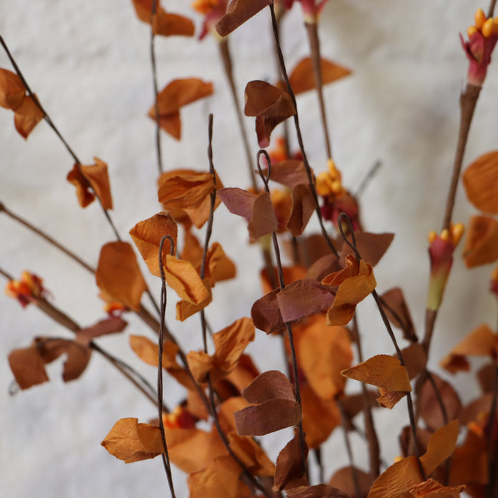 Spice Blooms