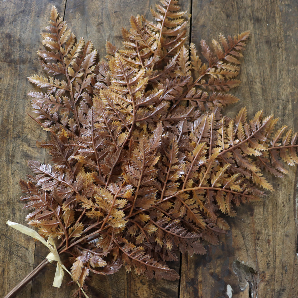 Fern Bundle - Cinnamon
