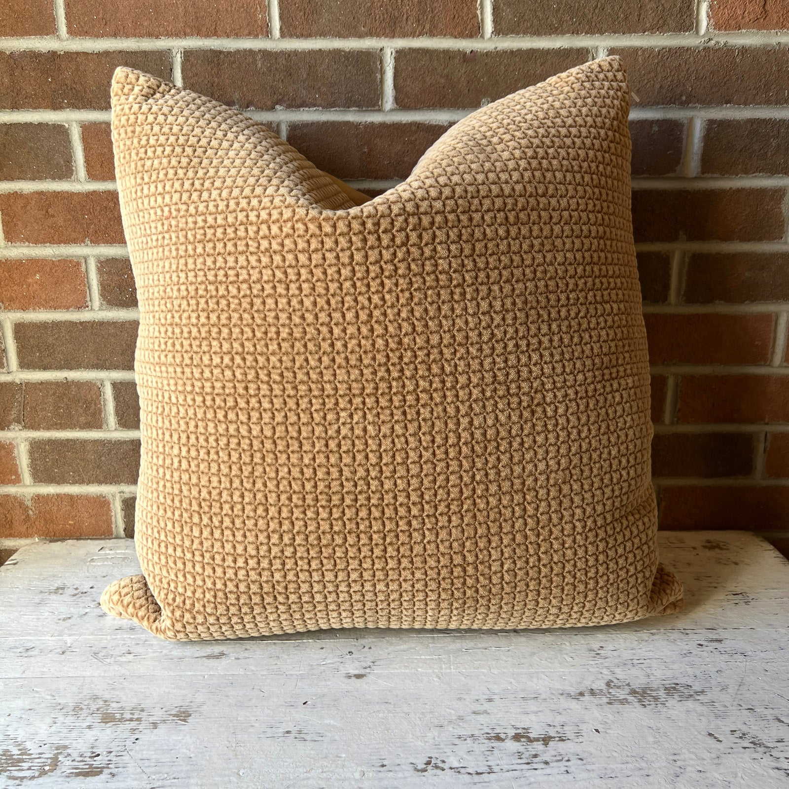 22" x 22" Pillow